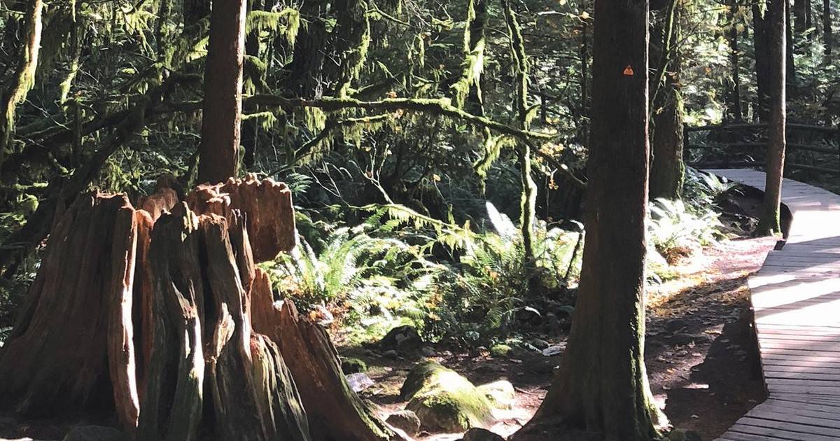 Our Favourite Canadian Urban Parks