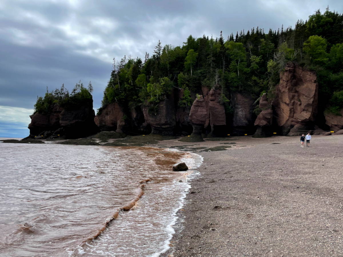 Wuxly Wanderer - The Bay of Fundy Edition