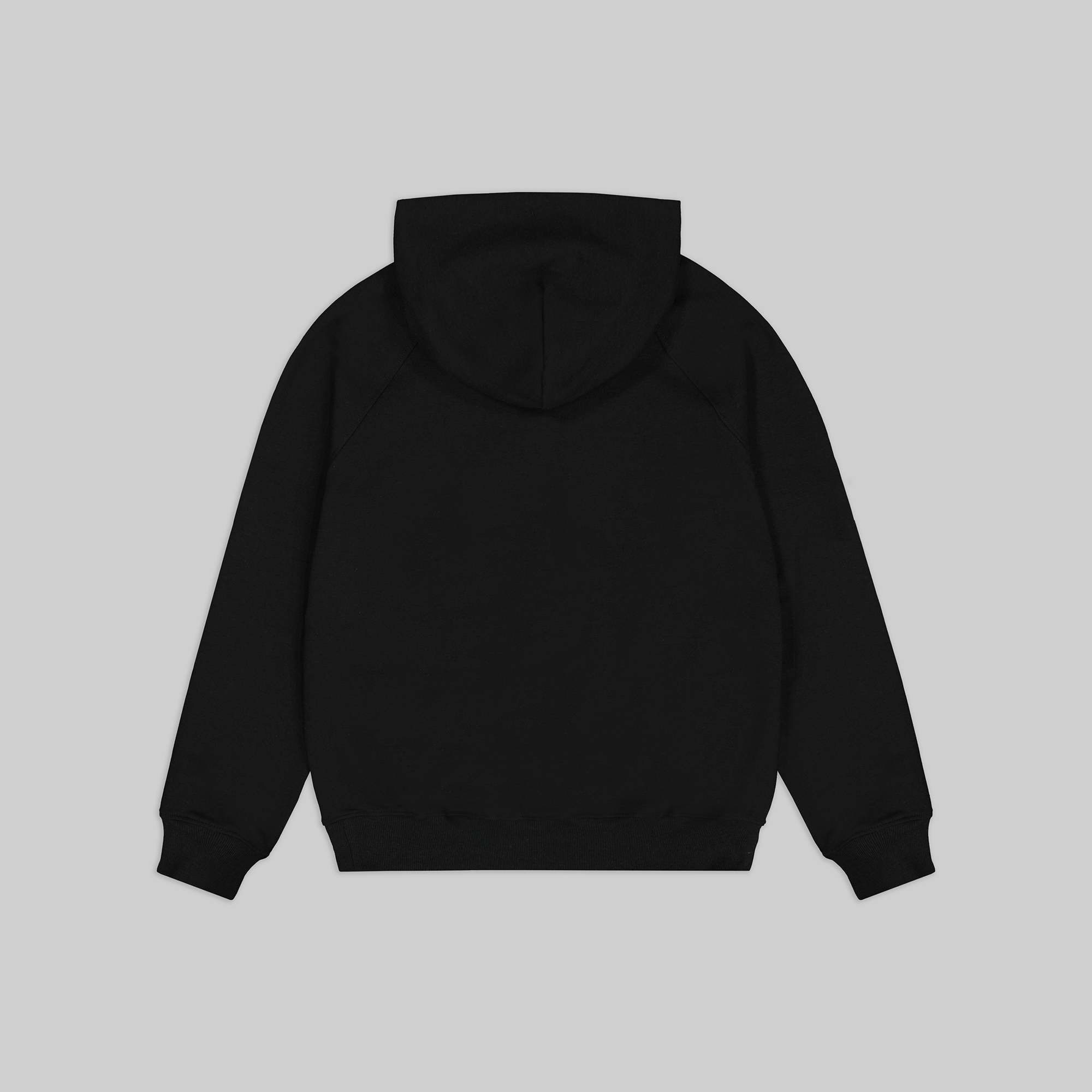 HOODIEblackBACK_88699d20-6b8e-43f6-a226-86f3d6bafbad.png