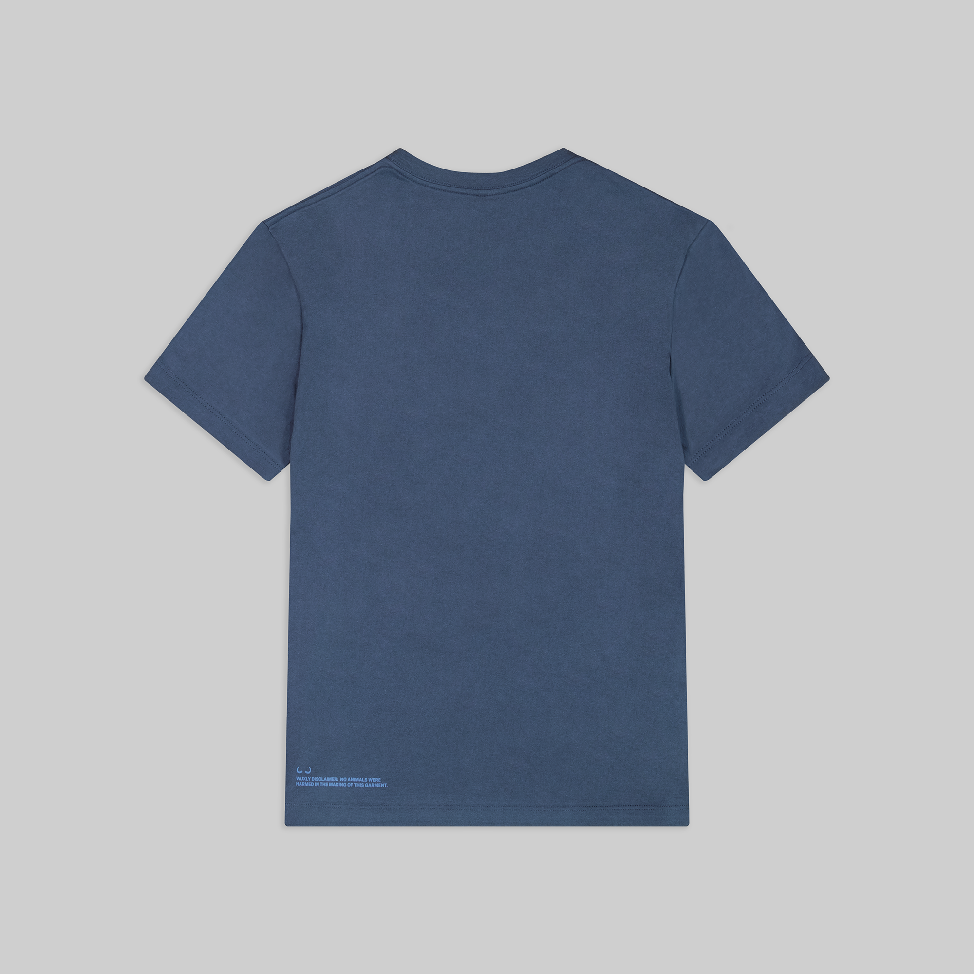 TSHIRTblueBACK.png